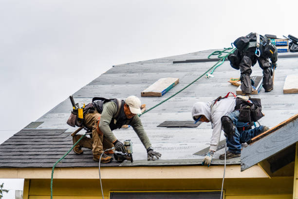 Professional Storm Damage Roof Repair technician working in Montevideo, MN